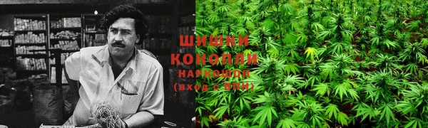 стафф Верхний Тагил