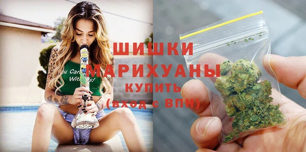 стафф Верхний Тагил