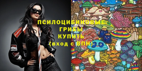 стафф Верхний Тагил